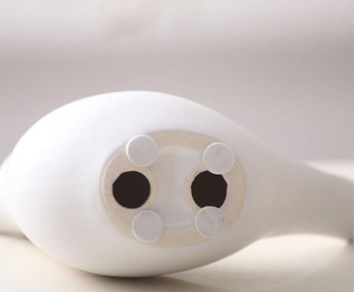 Aves Ceramic Figurines - Fine Home Accessories