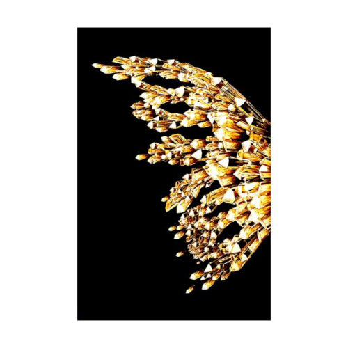 Winged Flutter - Fine Home Accessories
