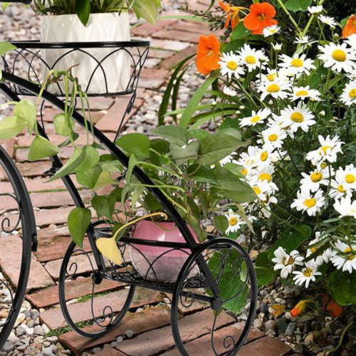 Deco Tricycle 3-Seat Plant Stand - Fine Home Accessories
