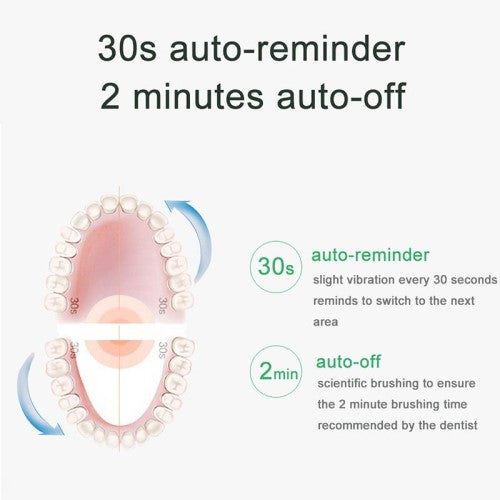 Professional Electric Sonic Toothbrush - Fine Home Accessories