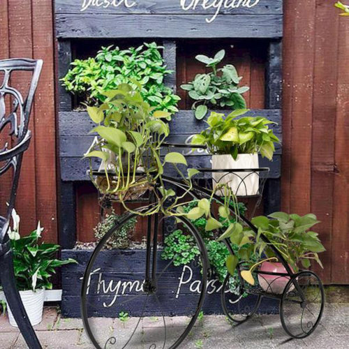 Deco Tricycle 3-Seat Plant Stand - Fine Home Accessories